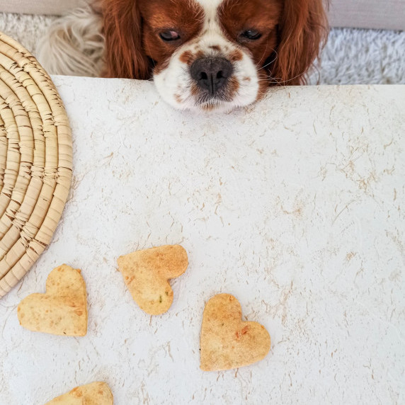 Dog Treats with Cheese