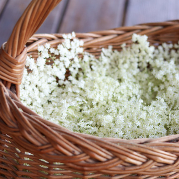 How to make elderflower tea 