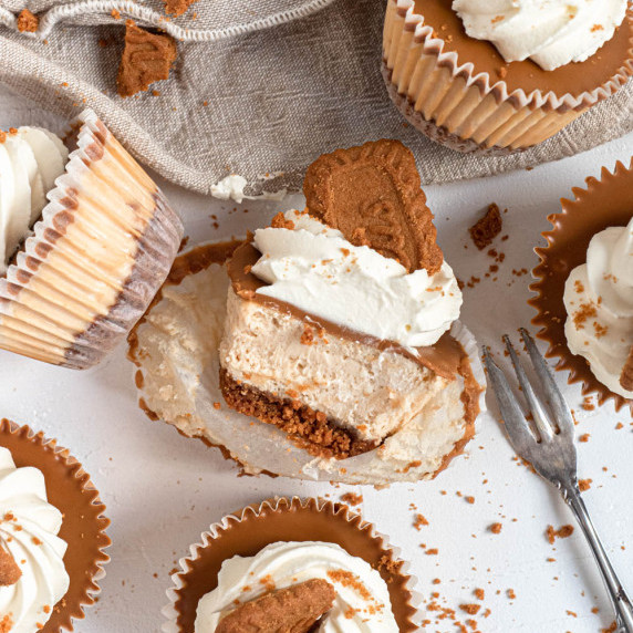 Speculoos, cookie butter, biscoff cheesecake with a lotus cookie base