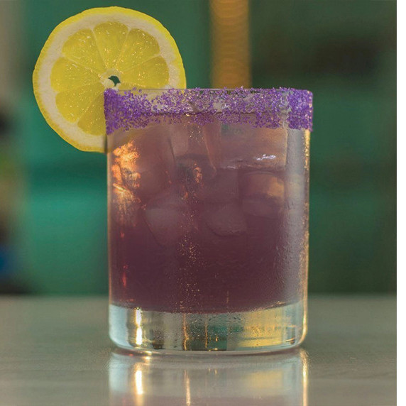 Purple gecko shot