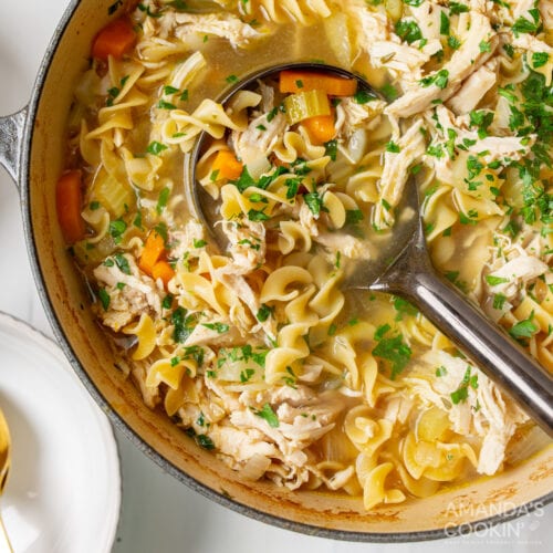 Carrots, onion, celery, shredded chicken, egg noodles, and loads of herbs and seasonings make this s