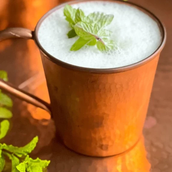 Ayran Turkish Yogurt Drink