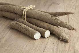 Burdock root