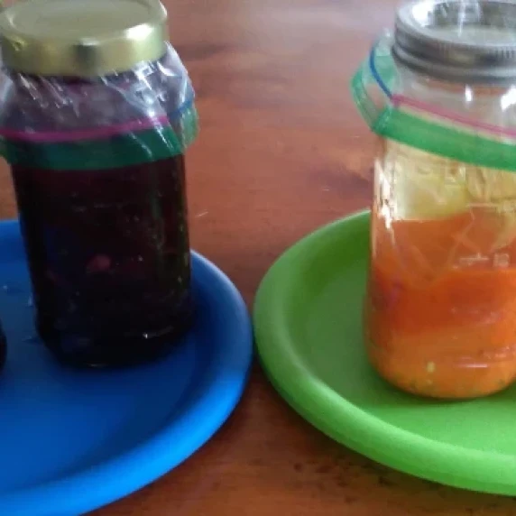 sauerkraut